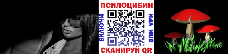 купить закладку  Агидель  Псилоцибиновые грибы Psilocybe 